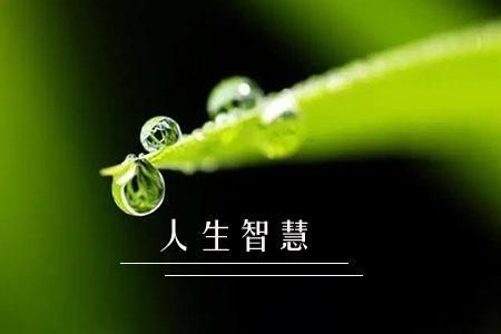 学而后思，思学并进。学而不思则罔，思而不学则殆。