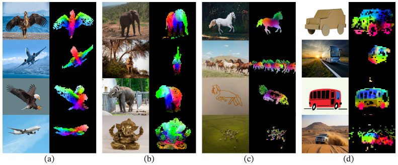 Figure 1: Visualization of the first PCA components.