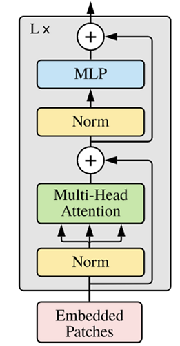 vit-encoder