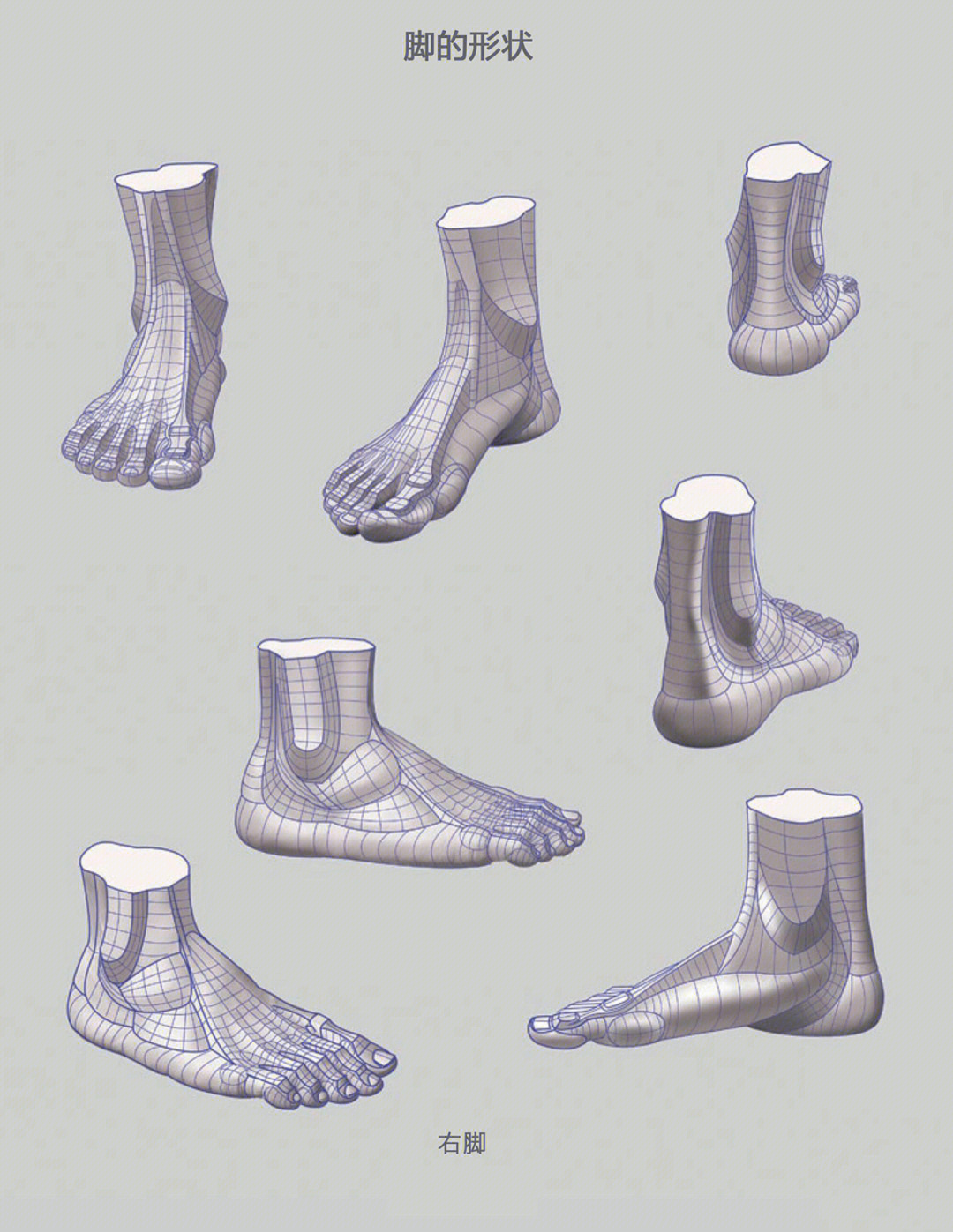 脚部建模布线解析—建模入门必学的知识储备_脚三维模型-csdn博客