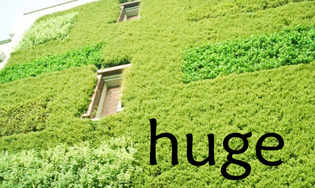 huge形式huge什么意思怎么读