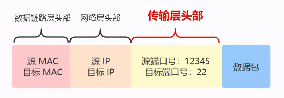 图文并茂！你管这破玩意儿叫TCP？