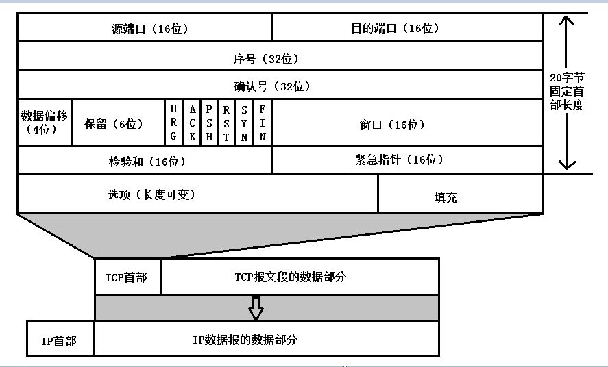 TCP报文段格式