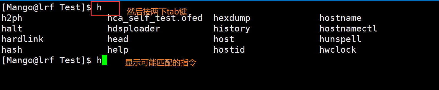 image-20220301204935649