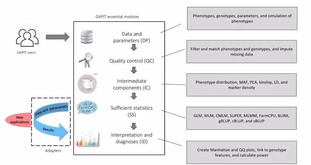 GAPIT 3.0：全基因组关联分析与预测软件最新版发布-CSDN博客