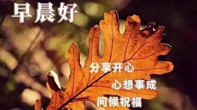 最新emoji表情代码大全中老年表情包微信朋友圈早晨问候语带图片最新