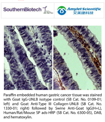 SouthernBiotech 山羊IgG-TRITC说明书