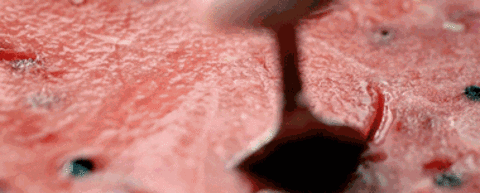 9a019eb8af95357832264f58a04c885a.gif