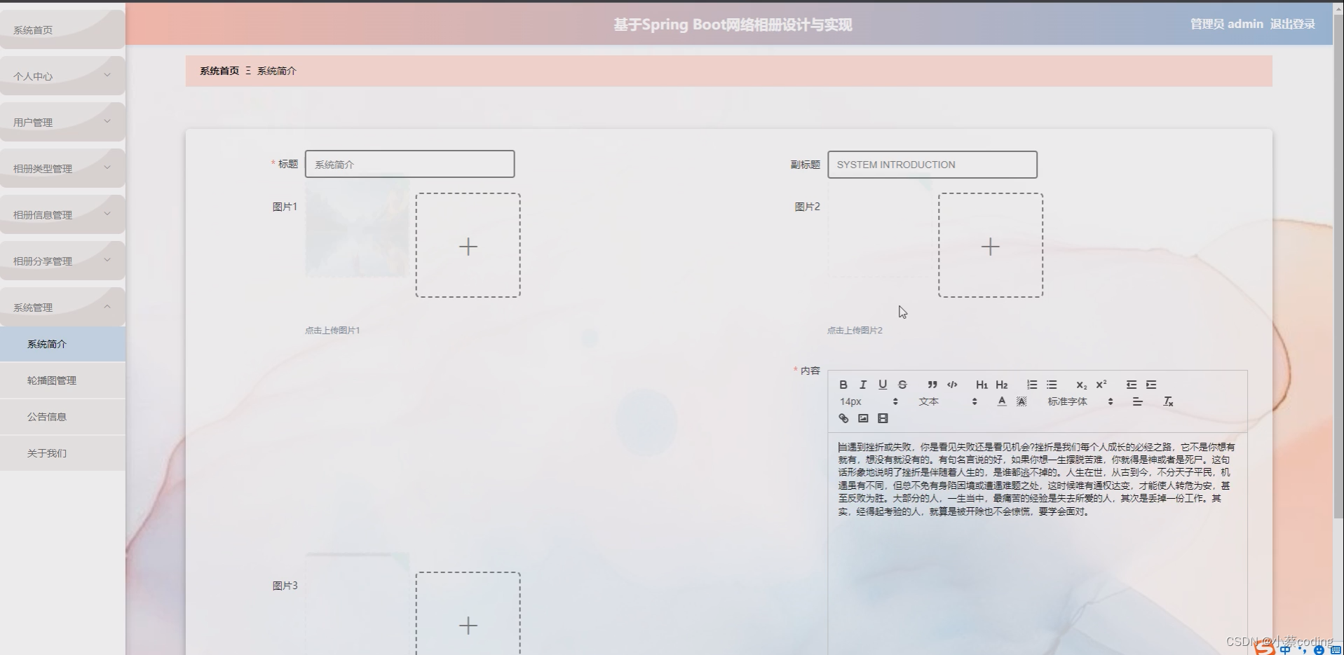 基于SpringBoot+Vue的网络相册的详细设计和实现(源码+lw+部署文档+讲解等)_spring boot_02