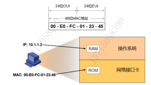image-20241122161831796