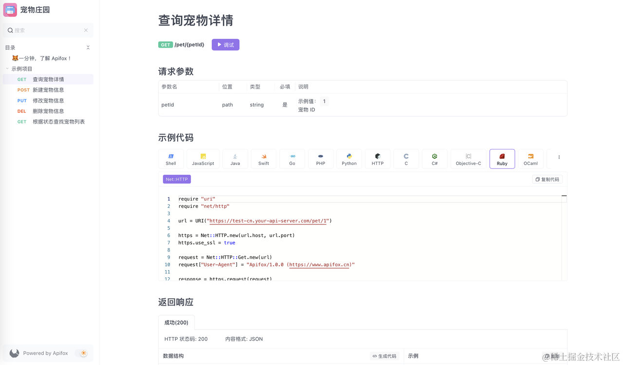 高效开发工具：提升 REST API 开发效率