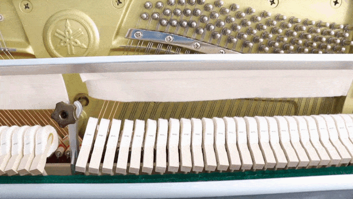 被周董和郎朗拨弄,钢琴的"内心"如何掀起"波澜"?