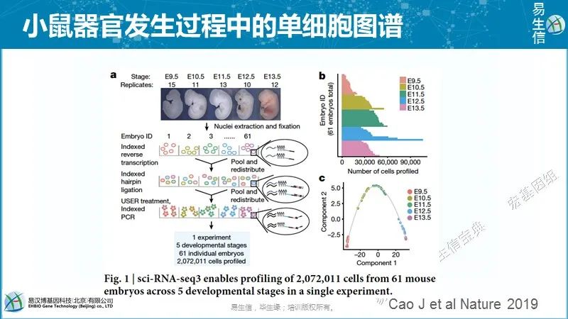 单细胞转录组基本概念（一）-CSDN博客