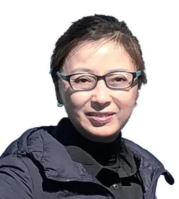 生态网络连通性定义_刘冬燕 | 生态修复的理论、方法与实践-CSDN博客