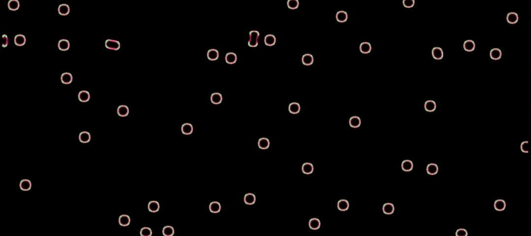 9abdf08b0b89ab8bfa1b2409b643bafe.gif
