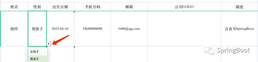 导出下拉列表的两种小技巧【EasyPoi实战系列】- 第473篇