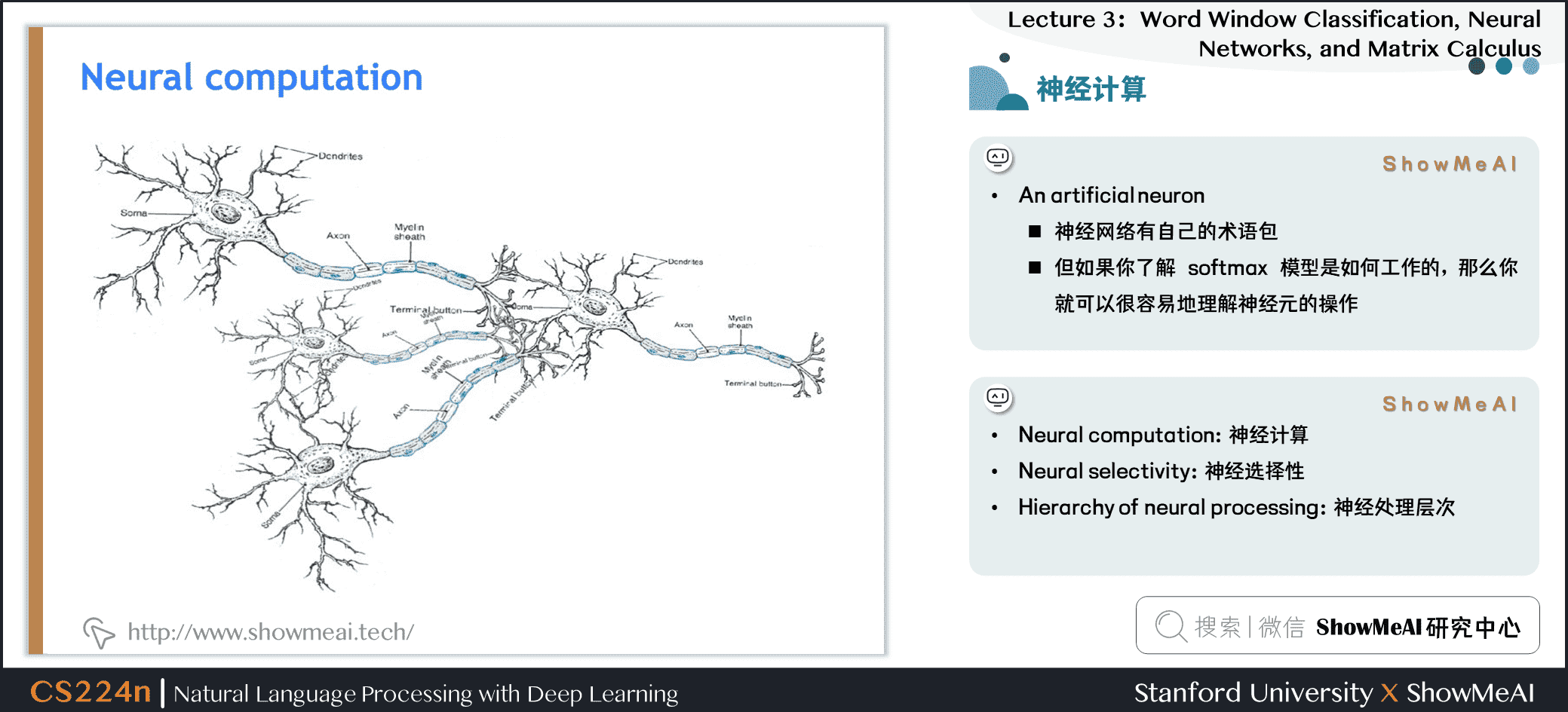 神经计算