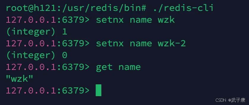 大数据-40 Redis 类型集合 string list set sorted hash 指令列表 执行结果 附截图_redis_03