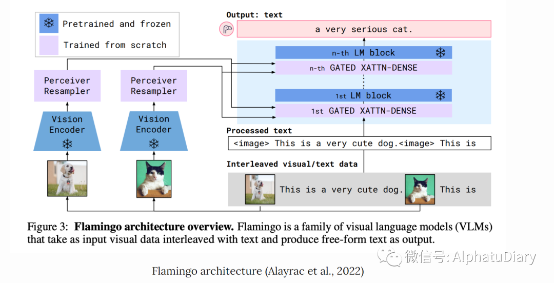 6000字解读 当前大语言模型llm研究的10大挑战