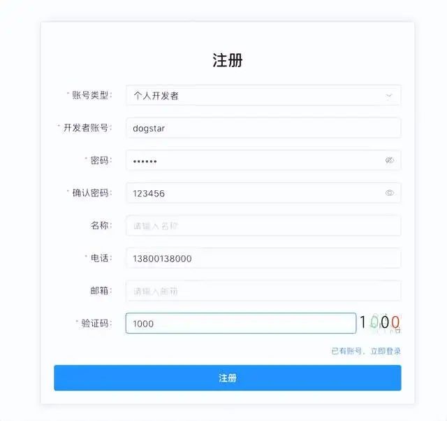【国产化软件】接口开放平台：Java+Swagger+Vue3，适配移动端_开放平台