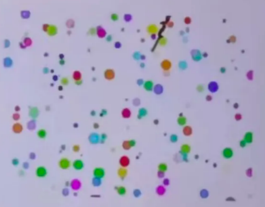 2024Scratch信息素养大赛-图形化编程小低组