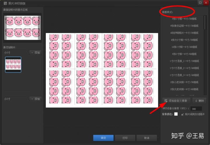 证件照排版软件_傻瓜式证件照片排版以及尺寸的调整-CSDN博客