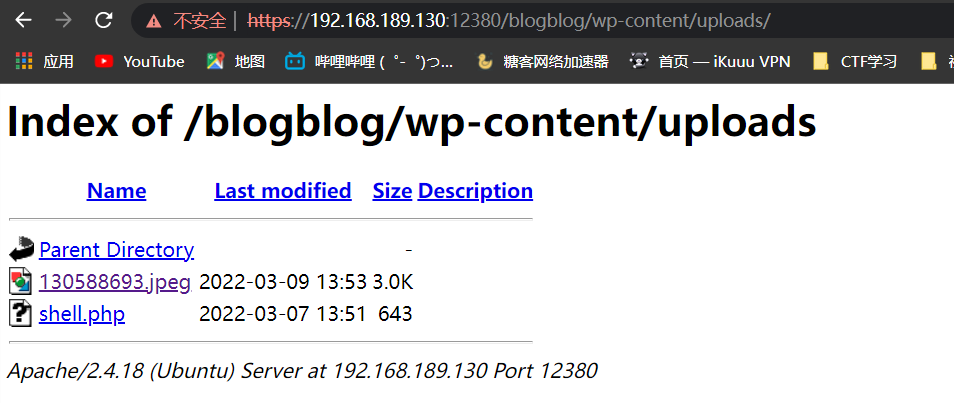 image-20220309223745687