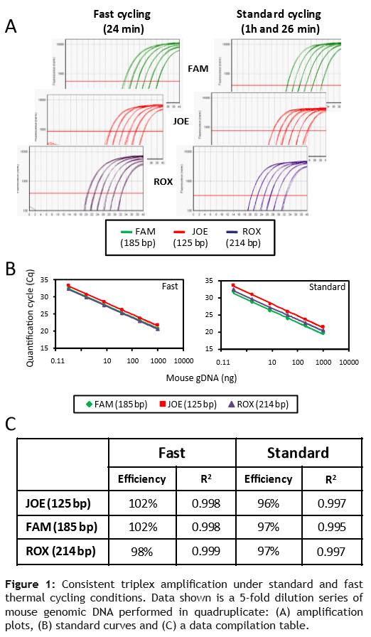 CleanAmp™ dNTP应用：24min完成三重qPCR