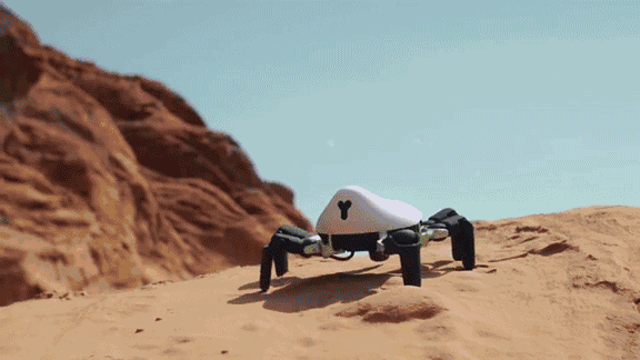 这个机器人花盆给你的植物长了脚脚