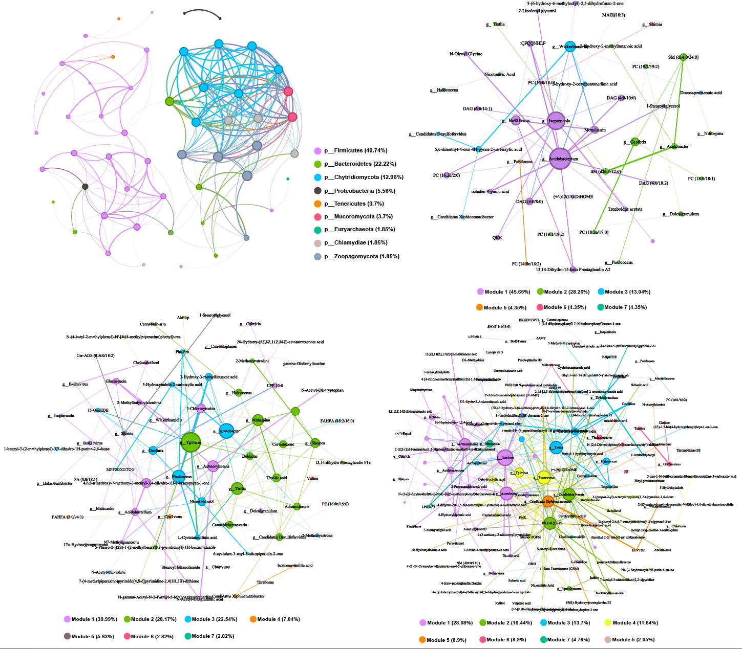 基于R和gephi做宏基因组与代谢组等多组学联合network相关性网络图