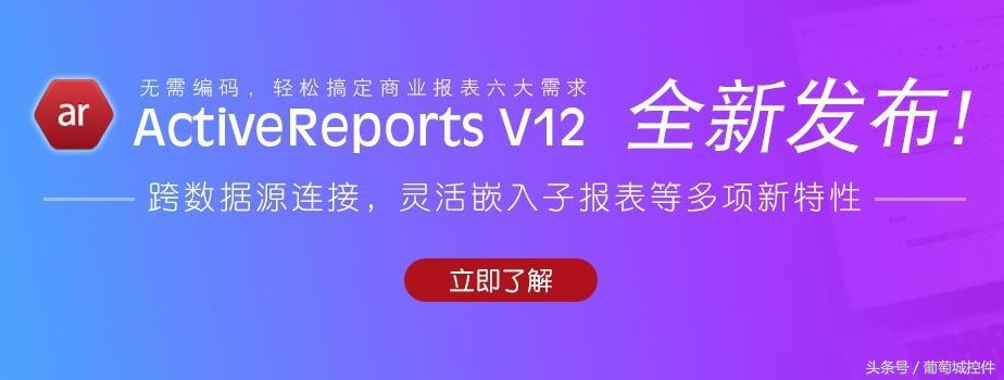 ActiveReportsV12新特性-可定制的安装设置