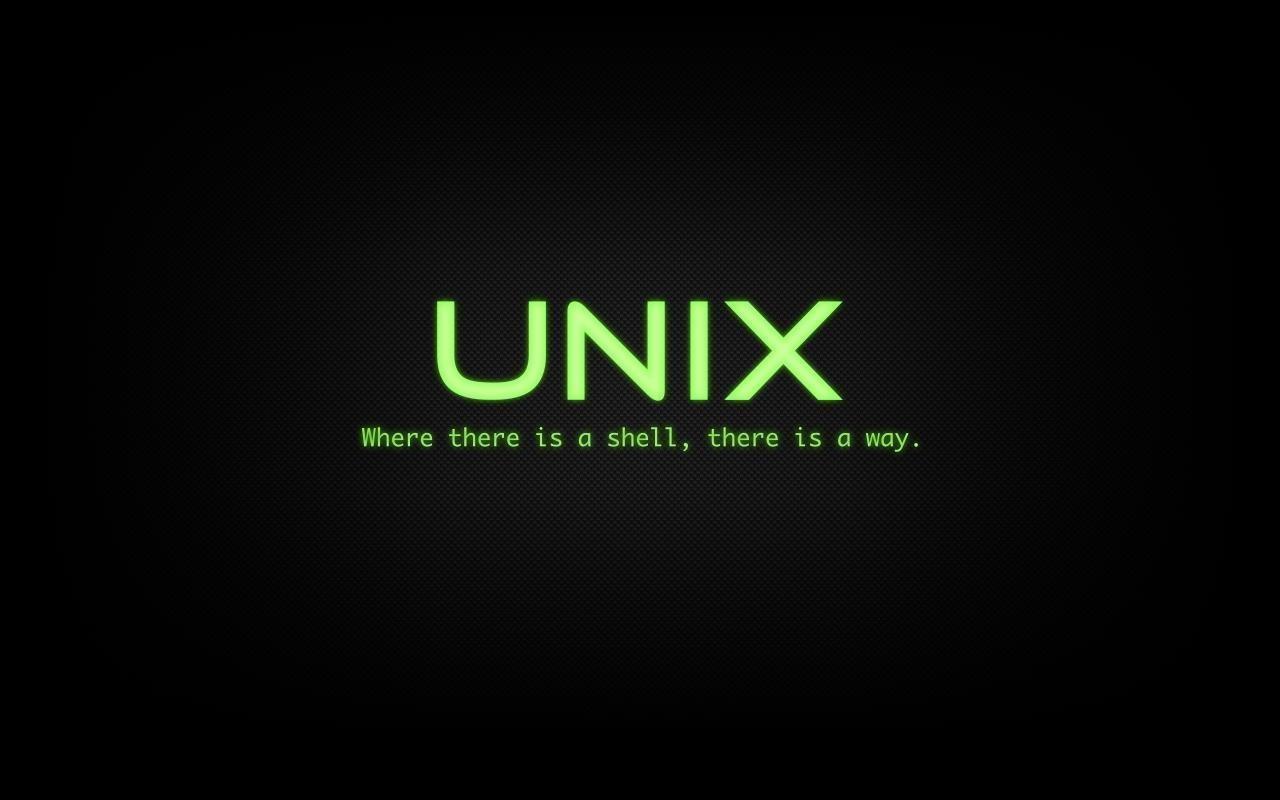 操作系统指南——Unix