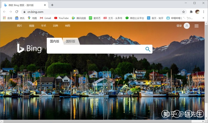 bing浏览器googlechrome浏览器上网篇