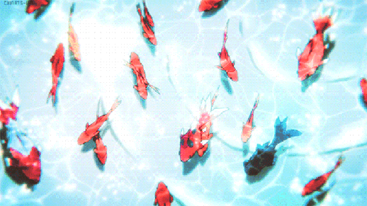 9d00cd7f1f3e9b44568add5d41efb376.gif