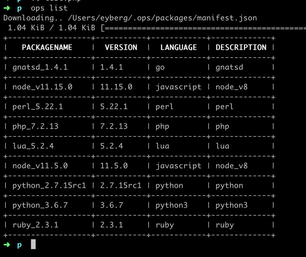 Running Unikernels from Existing Linux Applications with OPS 1