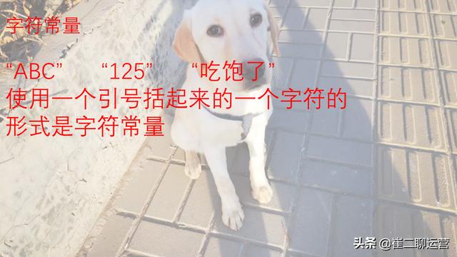 9d94df90cbd6c371da83929e5bec86c5.png