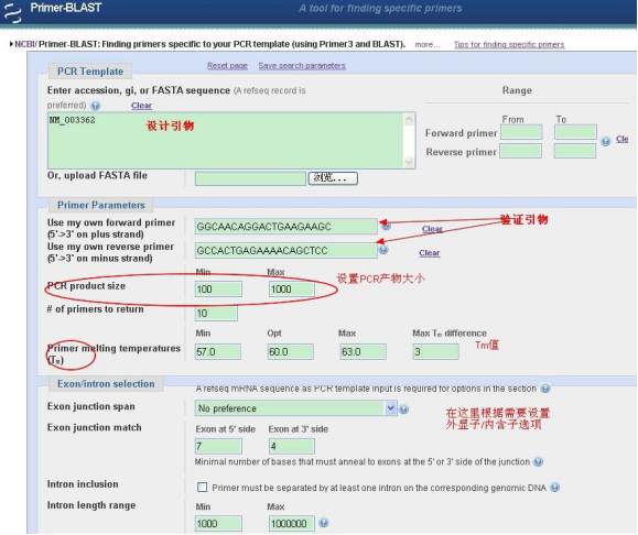 引物设计软件primer Primerblast Ncbi的引物设计和特异性检验工具 Weixin 39574708的博客 Csdn博客