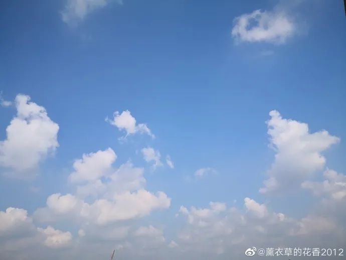 9df9614696f2395169beb9e65d77ba43.png