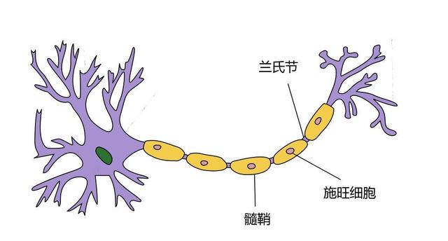 c分解质因数初中数学八年级上弄懂原理和方法因式分解其实很简单