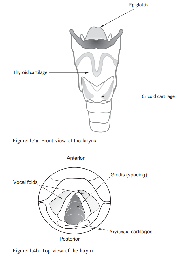 s10043810192022