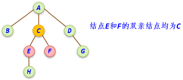  双亲结点 