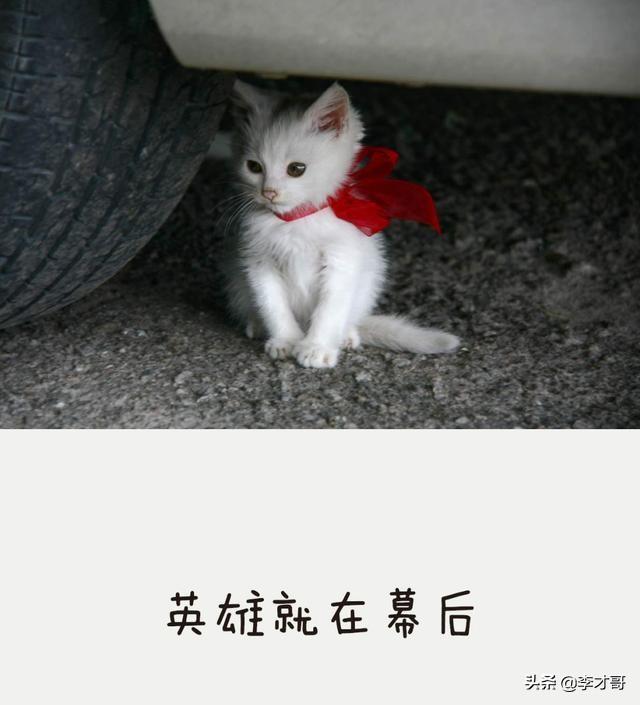 9e4bc315b064a47deb1260a801f129ff.png