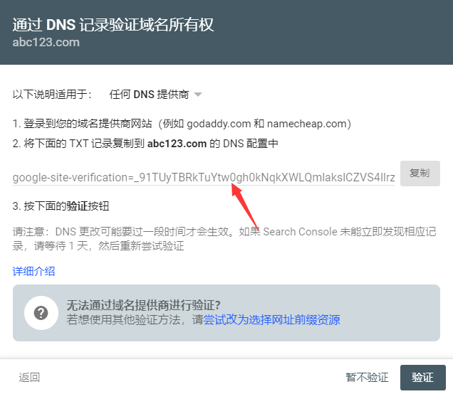 DNS 记录验证域名所有权