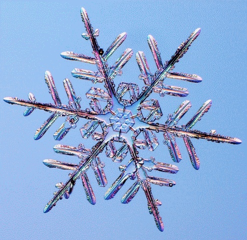 雪花算法原理_迈向雪花的大统一理论,雪花结晶理论之父提出新思路-CSDN博客