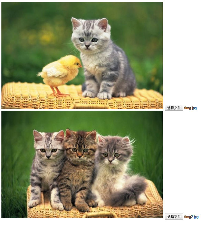 9e8e308e946f8a096fa47d3f88391c1f.png