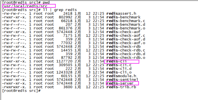 Liunx环境下Redis6.0.10安装