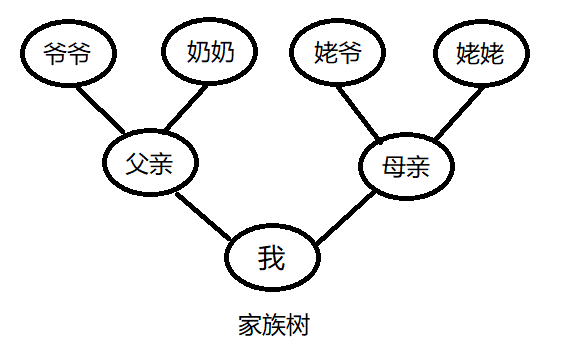 的数据结构,它是由n(n>=1)个有限节点组成的一种具有层次关系的集合