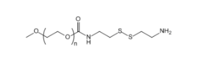 mPEG-SS-NH2 ；mPEG-SS-Amine；甲氧基聚乙二醇-双硫键-氨基-科研用试剂简介