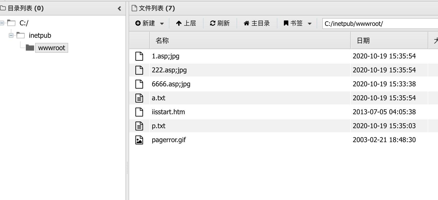 ASP-IIS中间件文件解析与写权限