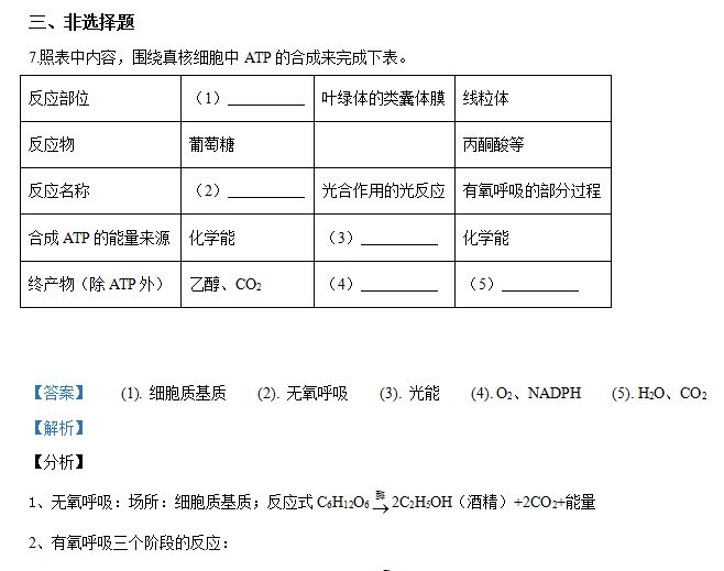 第一试卷网（网站）